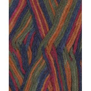  Berroco Comfort Colors Yarn 9836 Finnians Rainbow Arts 
