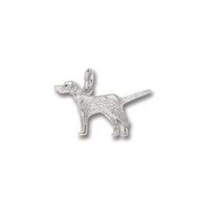  0151 Setter Dog Charm   Gold Plated Jewelry