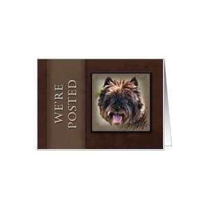  Were Posted, Brown Dog on Brown Background Card Health 