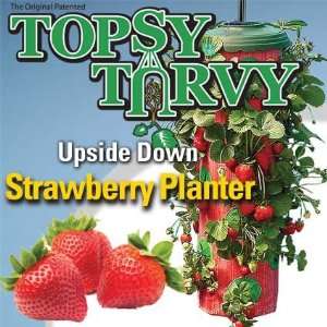  Allstar Allstar TT091112 Topsy Turvy Strawberry Planter 