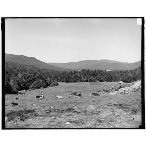  Looking toward Bretton Woods,White Mts.,N.H.