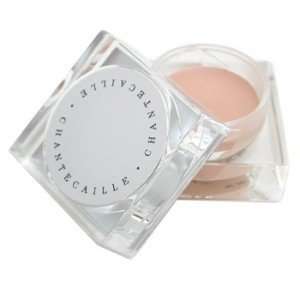  Chantecaille Total Concealer   Ivory Beauty