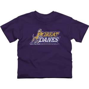  Albany Great Danes Youth Distressed Primary T Shirt 