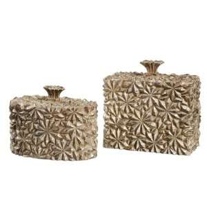  19591 Kira, Boxes, S/2 by uttermost