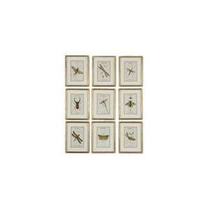  Uttermost Gold Leaf Insect Collection 9Pc Art