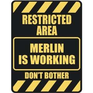   RESTRICTED AREA MERLIN IS WORKING  PARKING SIGN