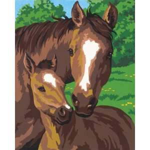  Learn To Paint Paint By Number Kit 8X10 Pony &