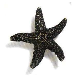   objects   scallops & seahorses mini starfish knob