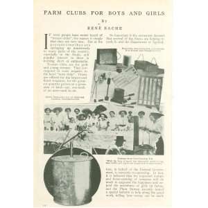   1913 Farm Clubs For Boy Girls Tomato Clubs Corn Clubs 
