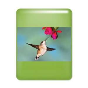    iPad Case Key Lime Black Chinned Hummingbird 