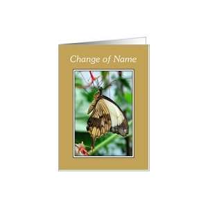  Announcement   Change Of Name, Swallowtail Butterfly Card 