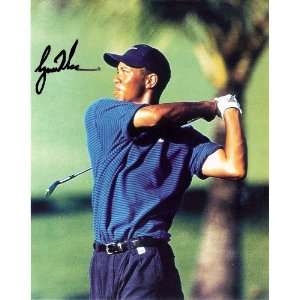  Outstanding Tiger Woods Authentically Hand Signed 8 X 10 