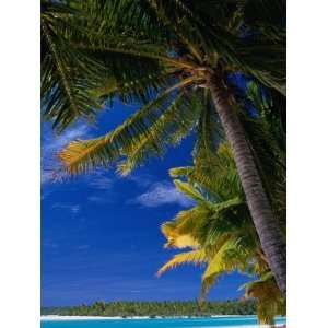  on Tapuaetai Motu (One Foot Island), Aitutaki, Cook Islands Lonely 