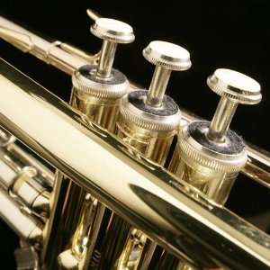  Trumpet Art by Red Hill Musical Instruments
