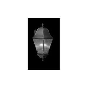  Framburg 9595IRON Coeur De Lion 4 Light Outdoor Wall Light 