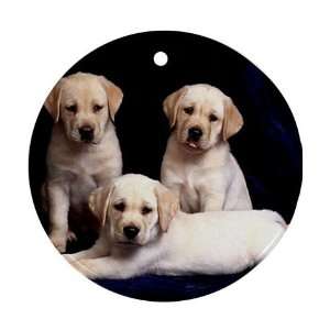 Cute puppies labs Ornament round porcelain Christmas Great Gift Idea