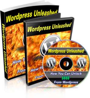 LEARN HOW TO USE WORDPRESS MAKE MONEY ONLINE BLOG VIDEO  