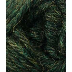   Alpaca Worsted in Rainforest Melange #7820 Arts, Crafts & Sewing