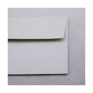   Petallics Silver Ore A 2[4 3/8x5 3/4]Envelope 50/pkg