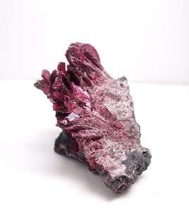 Erythrite on Skutterudite Mineral Specimen HS WoW  