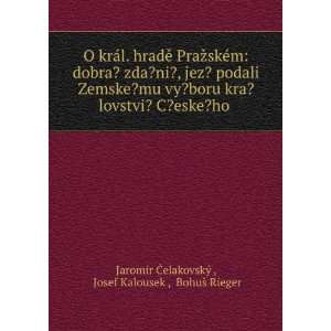   dobra? zda?ni?, jez? podali Zemske?mu vy?boru kra?lovstvi? C?eske?ho