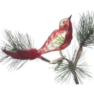 Personalized Bird   Red Christmas Ornament 