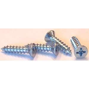 Self Tapping Screws Phillips / Flat Head / Type A / Steel 