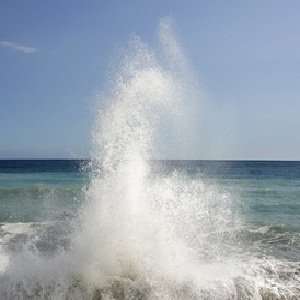 Ocean Spray fragrance oil