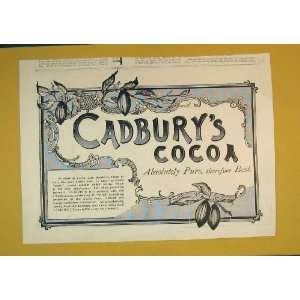  1896 CadburyS Cocoa Drinking Chocolate Advert Berries 