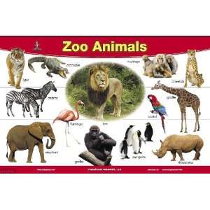  Zoo Animals Placemat