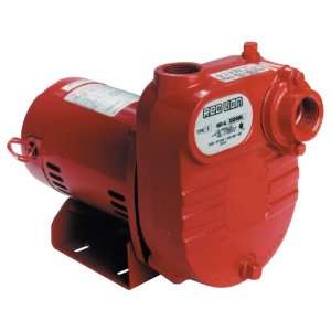   Priming Cast Iron Effluent Pump, 1 ¼ Inch NPT Suction and Discharge