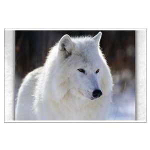  Large Poster Arctic White Wolf 