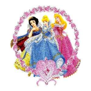 Cinderella SNOW WHITE Aurora in evening gowns Disney Prncess Heat Iron 