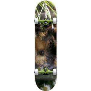  Almost Daewon Song   Doggy Resin 8 Complete Skateboard   7 