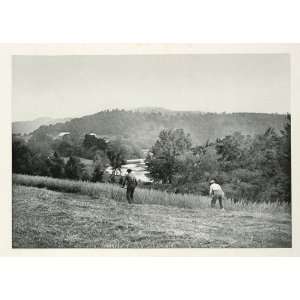 1900 Harvest Oat Field Pemigewasset Valley Photogravure   Original 
