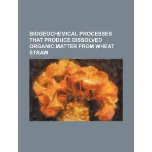   matter from wheat straw (9781234251062) U.S. Government Books