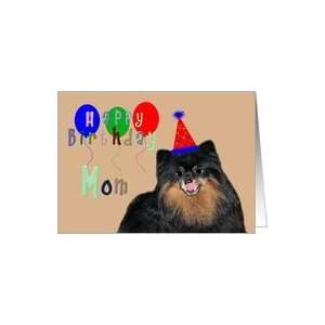  Birthday To Mom, Pomeranian wearing a party hat with 