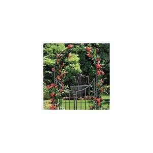  Fleur de lis Arbor with Gate Patio, Lawn & Garden