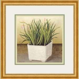    Florist Grasses II by Galley   Framed Artwork