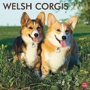  Welsh Corgis 2011 Wall Calendar