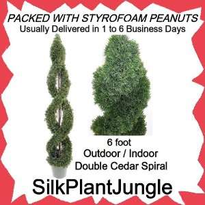  Cedar Twisting Spiral Topiary Tree Plant packed in peanuts Home