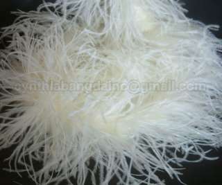   /Cream/Off White Ostrich Feather Boa, A+++ Cynthias Feathers  