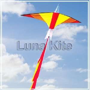   kite/weifang kite/breeze kitefashion flying kite Toys & Games