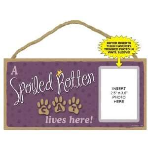 Spoiled Rotten Cat Lives Here Sign Plaque w/ vinyl insert for your 