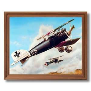 WWI Albatross D3 Military Aircraft Jet Airplane Picture Oak Framed Art 