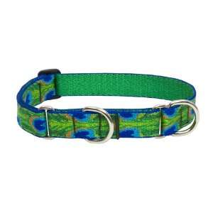  Lupine 1 Inch Tail Feathers 19 27 Inch Combo Dog Collar 