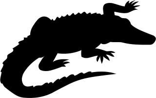 Alligator Gator Croc Decal 3.75x6 choose color vinyl sticker  