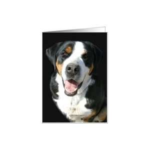  Greater Swiss Mountain Dog Smile Card Health & Personal 