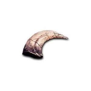  Velociraptor Claw Replica 