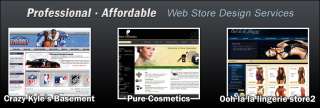 Professional, Affordable, Web Store Design Services